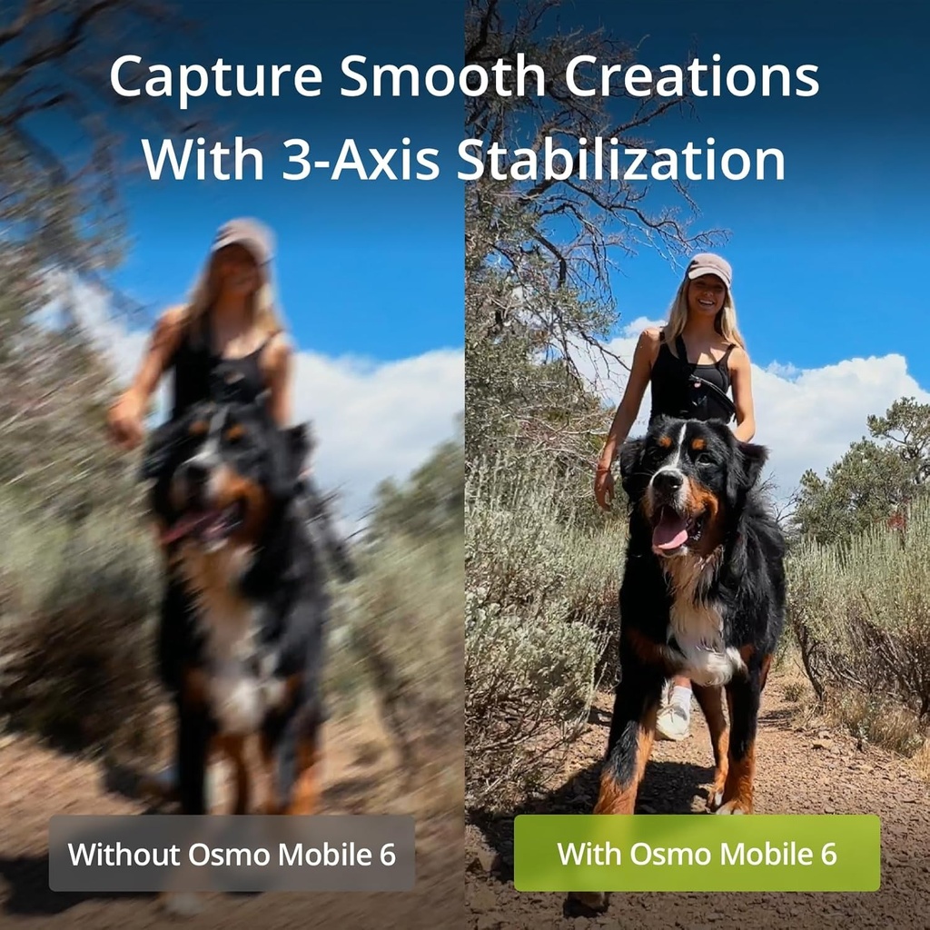 DJI OSMO 6