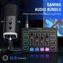 FIFINE Paquete de equipos de juego, juego de micrófono dinámico XLR/USB para juegos con mezclador de audio para grabación de podcasts, video vocal, juego de jugadores RGB con atenuador de