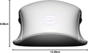Mouse Gaming EVGA X12